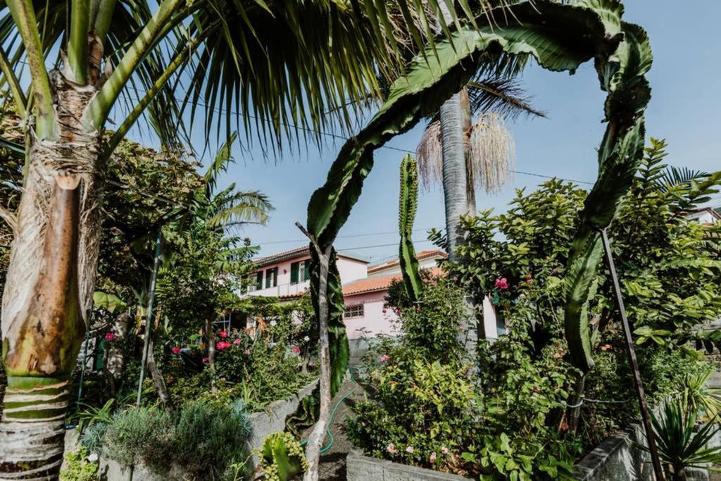 City View Gardens Funchal (Madeira) Exterior foto