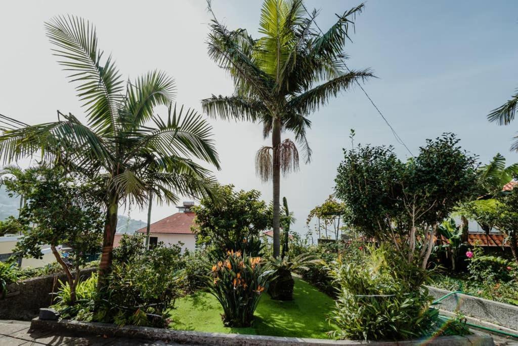 City View Gardens Funchal (Madeira) Exterior foto